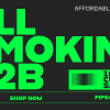 Wholesale smoking accessories b2b smoke shop los angeles pipeking