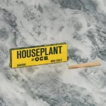 Houseplant Bamboo Cones rolling essentials available at Pipe420