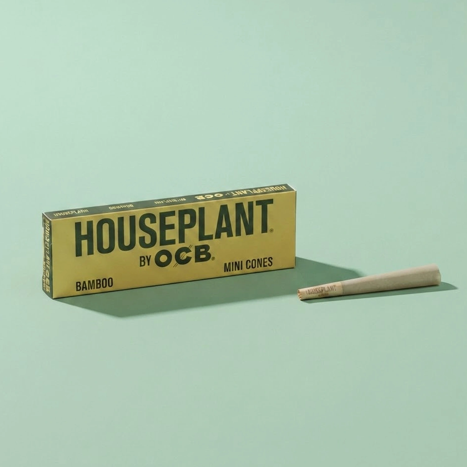 Houseplant Bamboo Cones