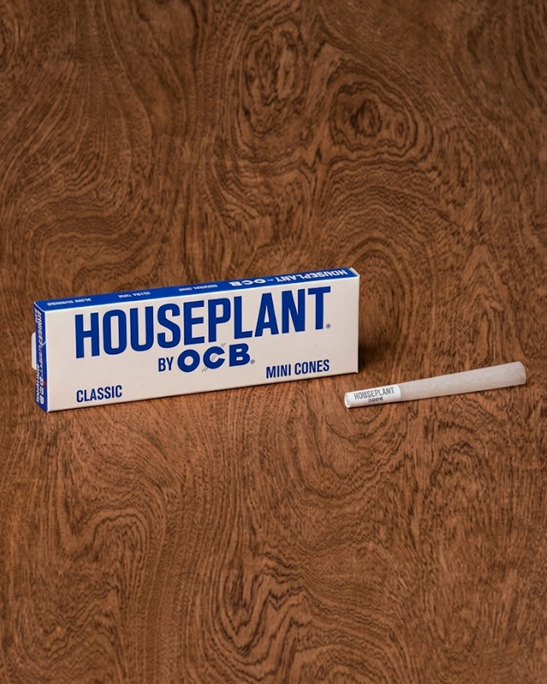 Houseplant Classic Cones