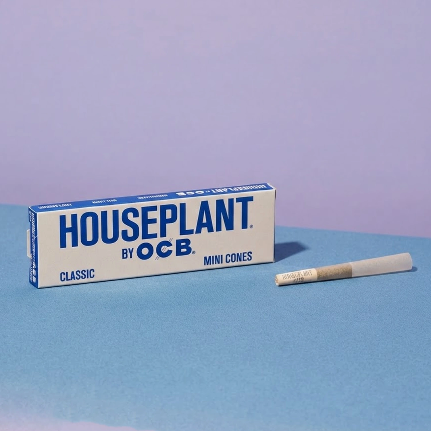 Houseplant Classic Cones